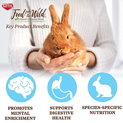 Kaytee Food from The Wild Natural Pet Rabbit Food, 4 Pound