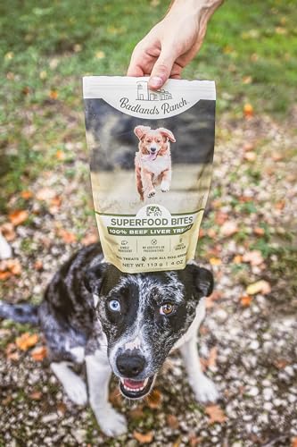 BADLANDS RANCH by Katherine Heigl- Superfood Bite, Freeze-Dried Raw Dog Treats - Protein Rich, Train & Reward, Traceable Single Ingredient (Beef Liver)