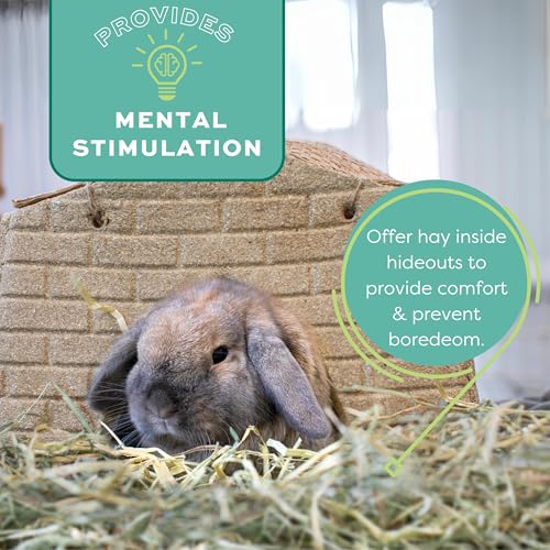 Oxbow Animal Health Orchard Grass Hay - All Natural Grass Hay for Chinchillas, Rabbits, Guinea Pigs, Hamsters & Gerbils - 15 oz.