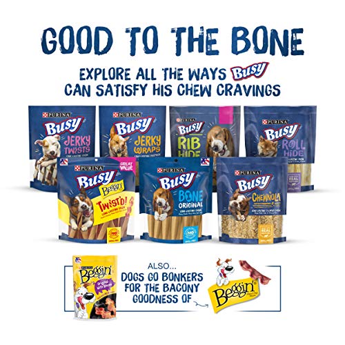 Purina Busy Bone Made in USA Facilities, Long Lasting Small/Medium Breed Adult Dog Chews, Peanut Butter Flavor - (Pack of 4) 6 Ct. Pouches