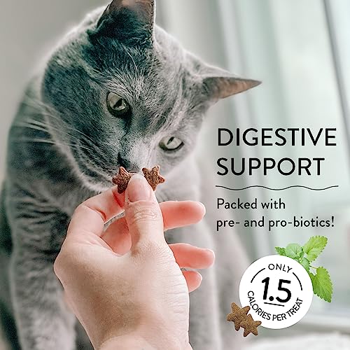 Shameless Pets Digestive Health Catnip Chicken Crunchy Cat Treats