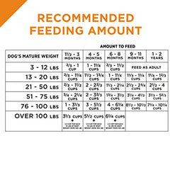 Purina Pro Plan High Protein Puppy Food Shredded Blend Chicken & Rice Formula - 34 Pound (Pack of 1)