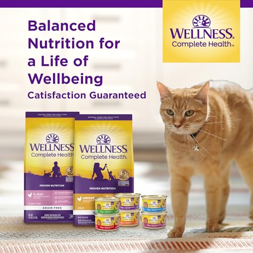 Wellness Complete Health Natural Dry Cat Food with Wholesome Grains, Made in USA with Real Meat (Adult, Salmon & Salmon Meal Recipe, 5-Pound Bag)