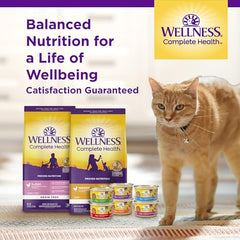 Wellness Complete Health Natural Dry Cat Food with Wholesome Grains, Made in USA with Real Meat (Adult, Salmon & Salmon Meal Recipe, 5-Pound Bag)