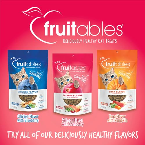 Fruitables Cat Treats – Crunchy Treats For Cats – Healthy Low Calorie Treats Packed with Protein – Free of Wheat, Corn and Soy – Made with Real Salmon with Cranberry – 2.5 Ounces