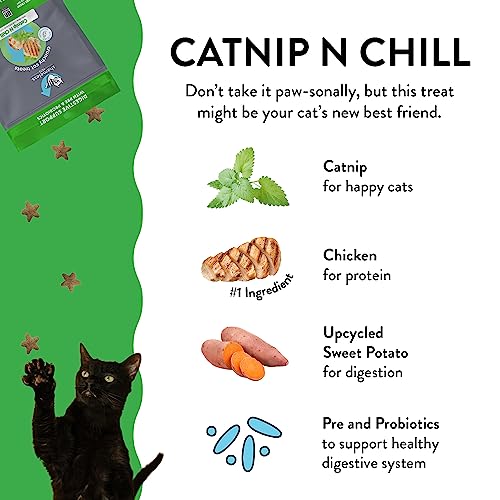 Shameless Pets Digestive Health Catnip Chicken Crunchy Cat Treats