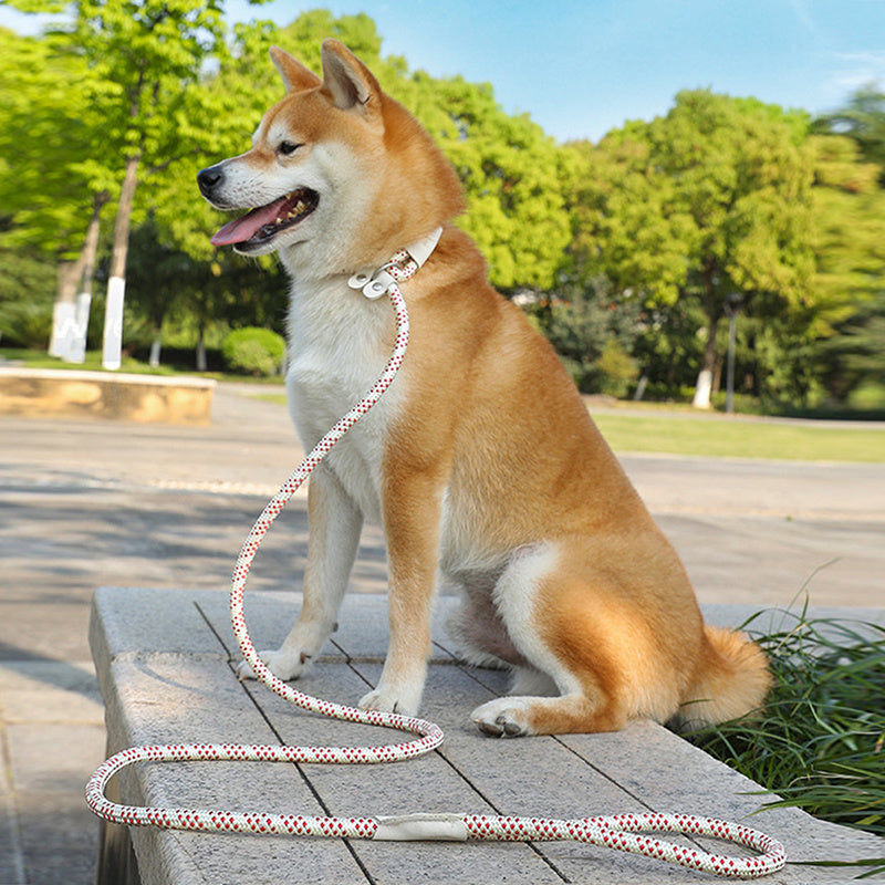 Strap Traction Rope, Dog Leash-Free and fast shipping