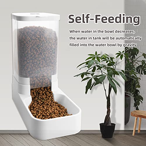 Feeder and Water Dispenser Set