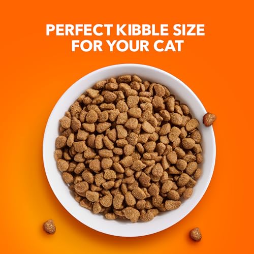 IAMS PROACTIVE HEALTH Adult Indoor Weight Control & Hairball Care Dry Cat Food with Chicken & Turkey Cat Kibble, 3.5 lb. Bag