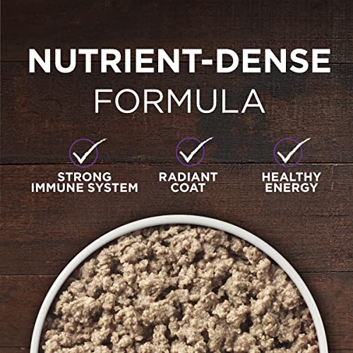 Purina ONE Wet Dog Food True Instinct Classic Ground Grain-Free Formula With Real Beef and Bison High Protein Dog Food - (Pack of 12) 13 oz. Cans