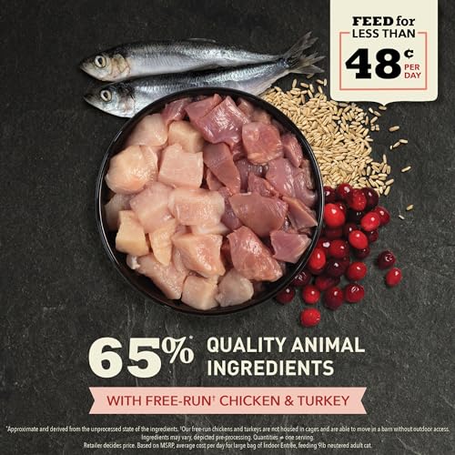 ACANA Indoor Entree Dry Cat Food, Free Run Chicken and Turkey Recipe, 4 lb