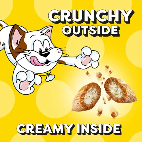 TEMPTATIONS Classic Crunchy and Soft Cat Treats Tasty Chicken Flavor, 16 Ounce (Pack of 1)