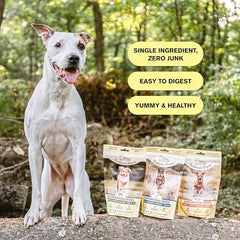 BADLANDS RANCH by Katherine Heigl- Superfood Bite, Freeze-Dried Raw Dog Treats - Protein Rich, Train & Reward, Traceable Single Ingredient (Beef Liver)