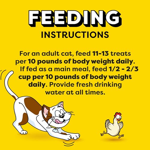 TEMPTATIONS Classic Crunchy and Soft Cat Treats Tasty Chicken Flavor, 16 Ounce (Pack of 1)