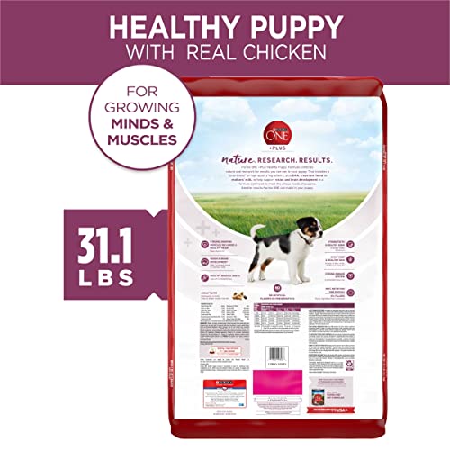 Purina ONE Plus Healthy Puppy Formula High Protein Natural Dry Puppy Food with added vitamins, minerals and nutrients - 31.1 lb. Bag