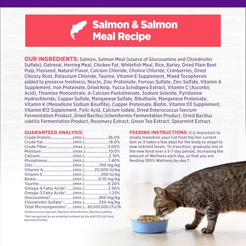 Wellness Complete Health Natural Dry Cat Food with Wholesome Grains, Made in USA with Real Meat (Adult, Salmon & Salmon Meal Recipe, 5-Pound Bag)