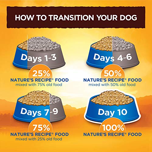 Nature's Recipe Wet Dog Food, Chicken, Rice & Barley Recipe Ground Formula, 13.2 Ounce Can (Pack of 12)