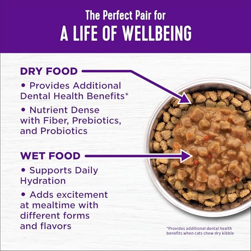 Wellness Complete Health Natural Dry Cat Food with Wholesome Grains, Made in USA with Real Meat (Adult, Salmon & Salmon Meal Recipe, 5-Pound Bag)