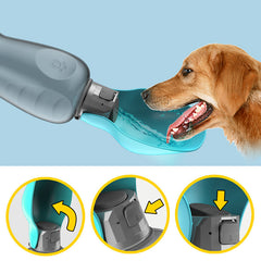 Pet water cup