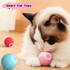 Smart Cat Toys