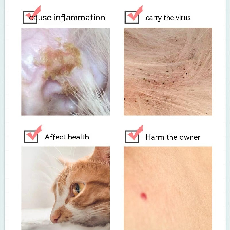 Collar against ticks and fleas