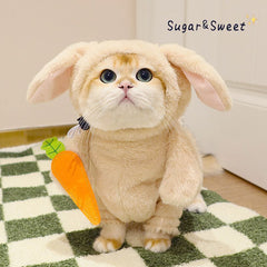 Cat Costume Rabbit