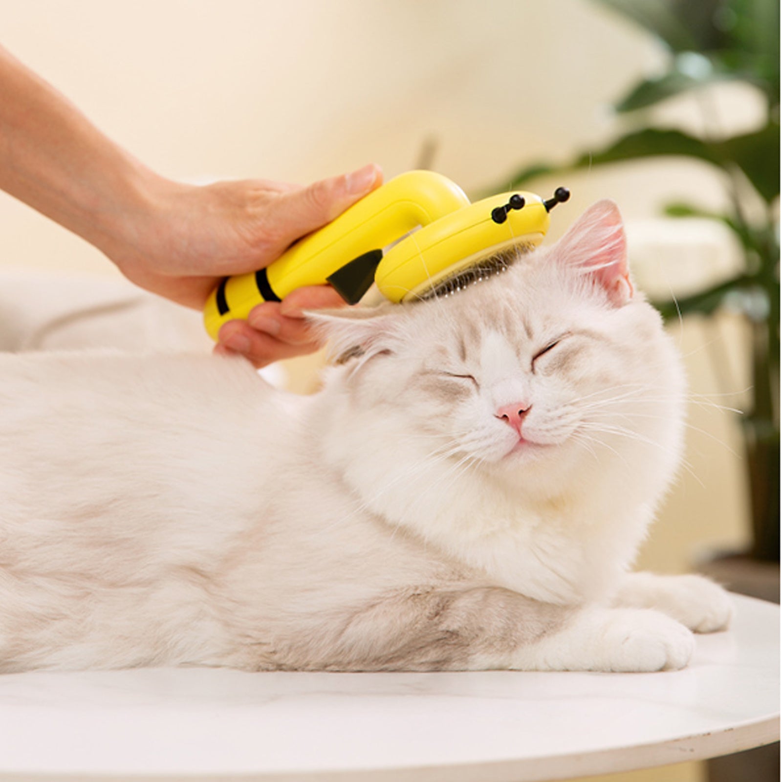 Pet Hair Removal Brush Comb