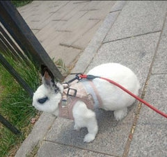 bunny vest