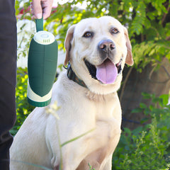 Pet Water Dispenser