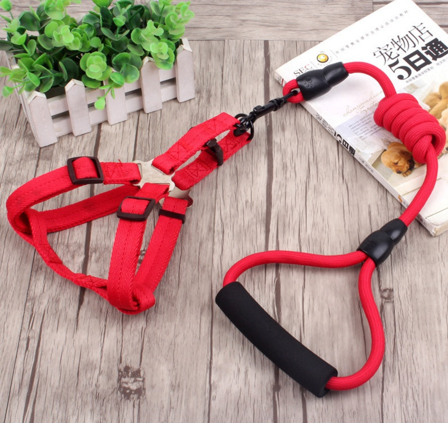 pet harness rope