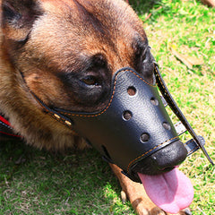 Anti-bite mask