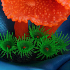 Simulation of coral plants