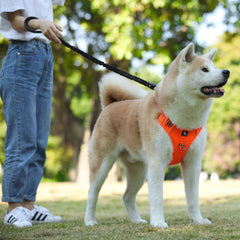 Pet Sports Chest Strap