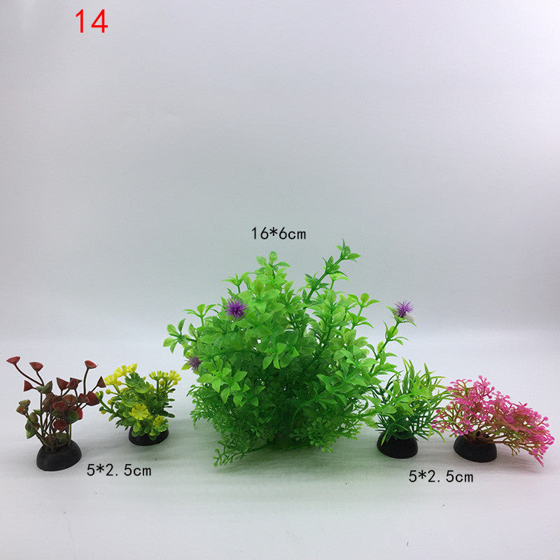 Plants for the aquarium