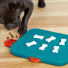 Dog toy plate