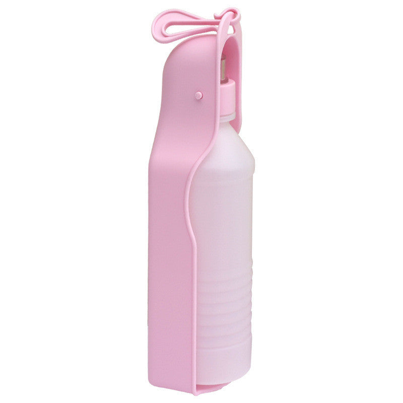 Pet water bottle