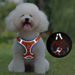 Dog Leash And Harness