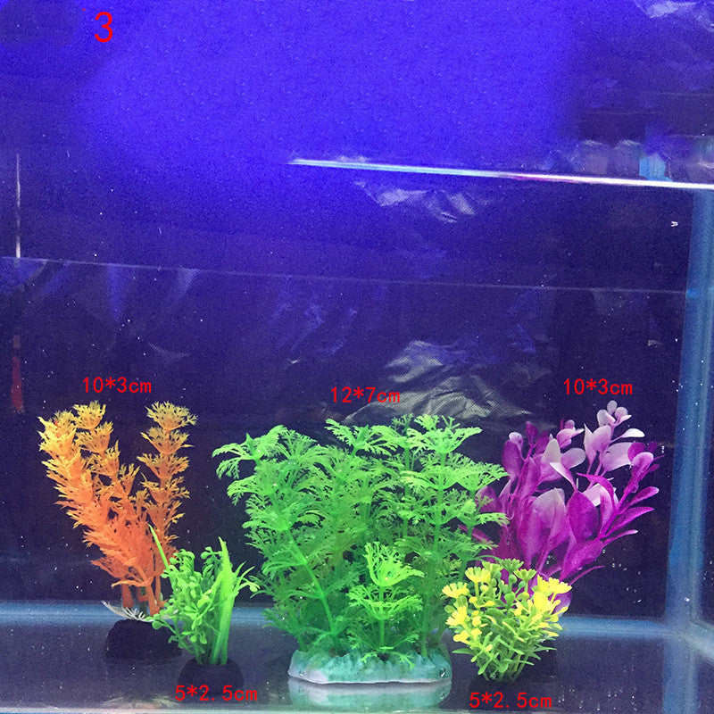 Plants for the aquarium