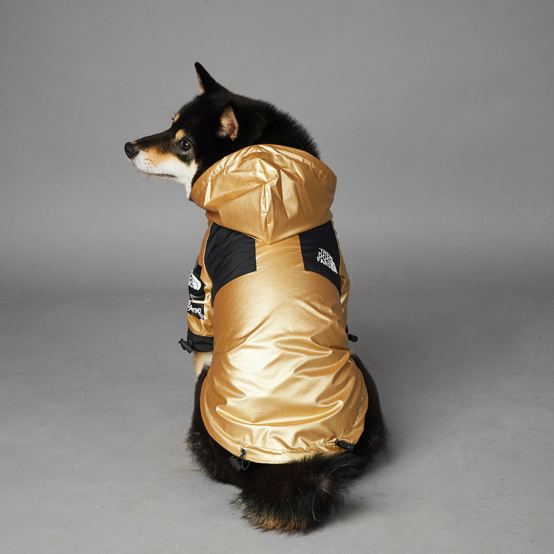 Dog Raincoat