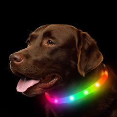 Pet Luminous Collar