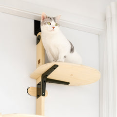 Board Pet Climbing Frame