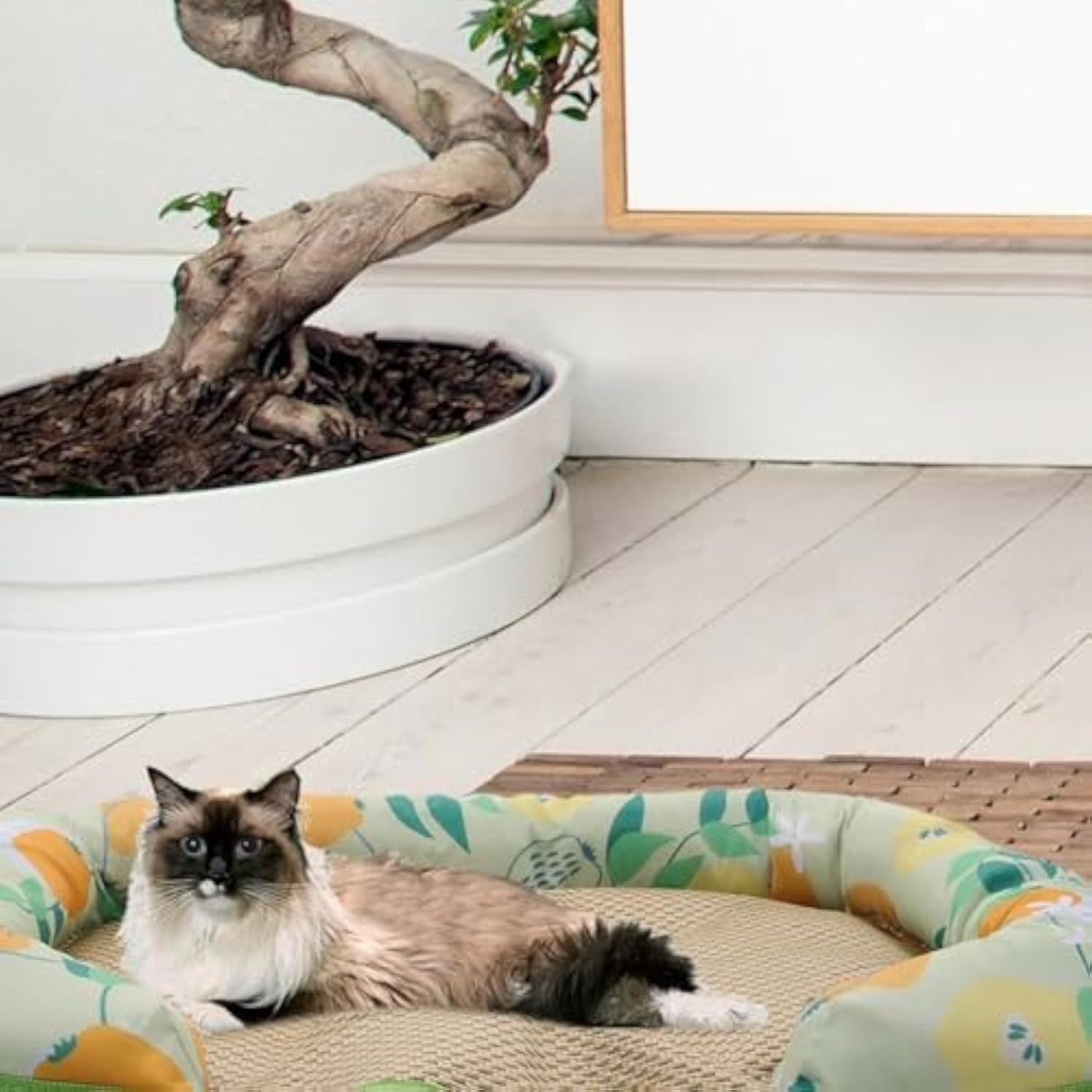 Sleeping Mat For Dogs And Cats