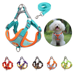 Dog Leash And Harness