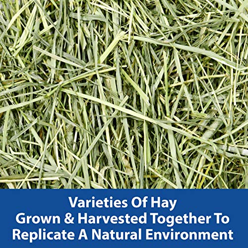 Kaytee All Natural Timothy Hay Wild Meadow Hay Blend for Guinea Pigs, Rabbits & Other Small Animals, 24 Ounce