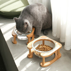 cat food bowl