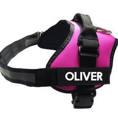 Pet Chest Harness