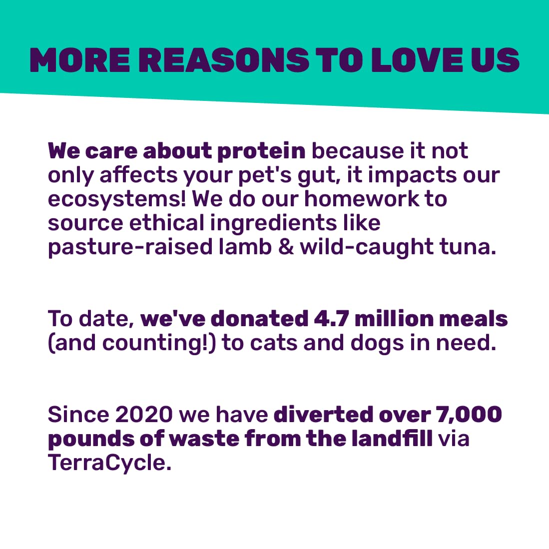 I and love and you Naked Essentials Dry Cat Food - Chicken + Turkey for Indoor Health - Grain Free, Real Meat, No Fillers, 3.4lb Bag