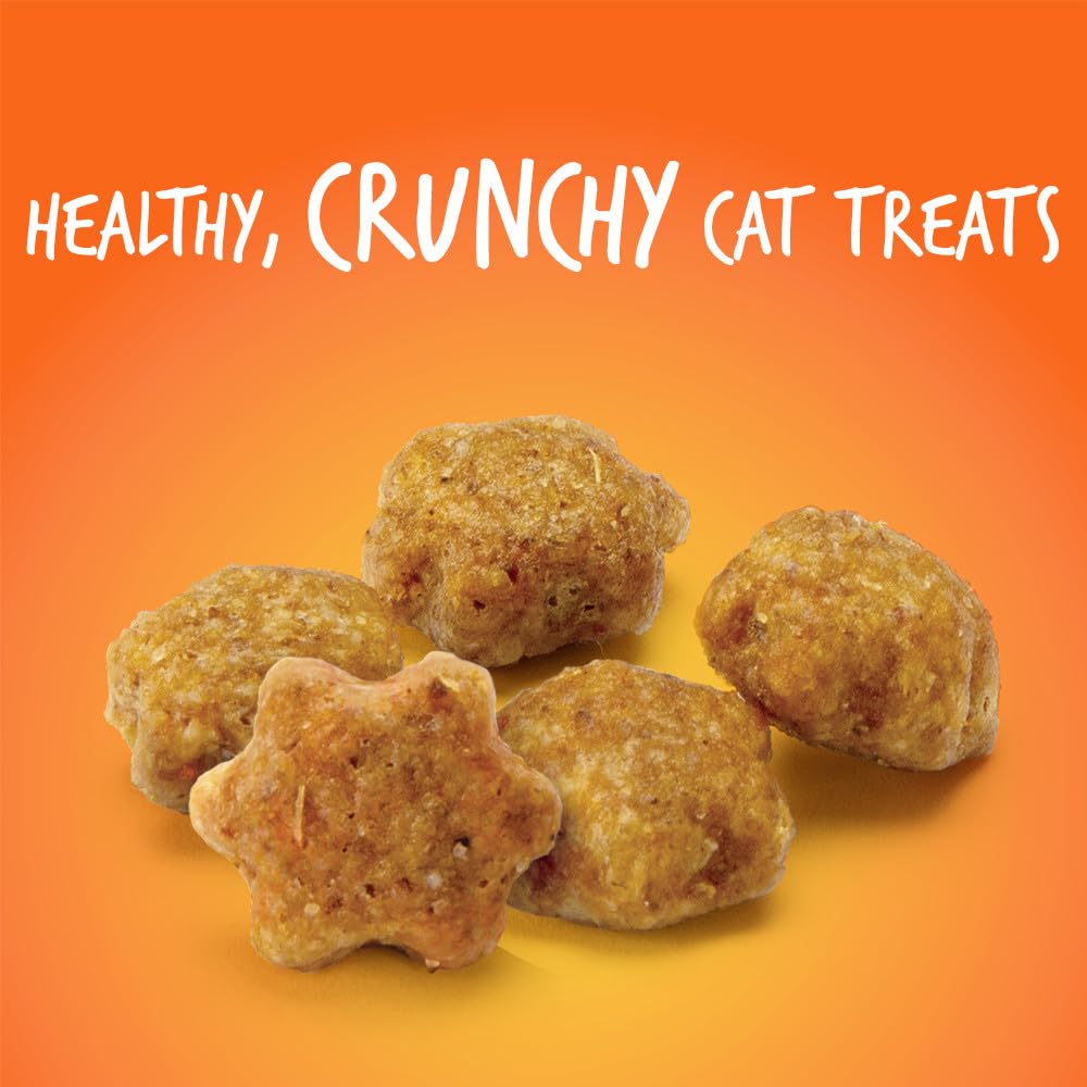 Treats For Cats