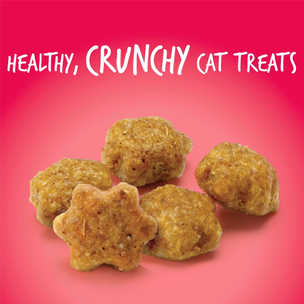 Fruitables Cat Treats – Crunchy Treats For Cats – Healthy Low Calorie Treats Packed with Protein – Free of Wheat, Corn and Soy – Made with Real Salmon with Cranberry – 2.5 Ounces