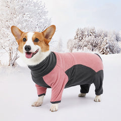 Winter clothes for dogs
